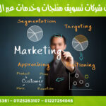 افضل شركات تسويق منتجات وخدمات عبر الانترنت فى مصر